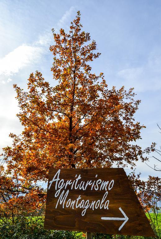 Вілла Agriturismo Montagnola Abruzzo Casalanguida Екстер'єр фото