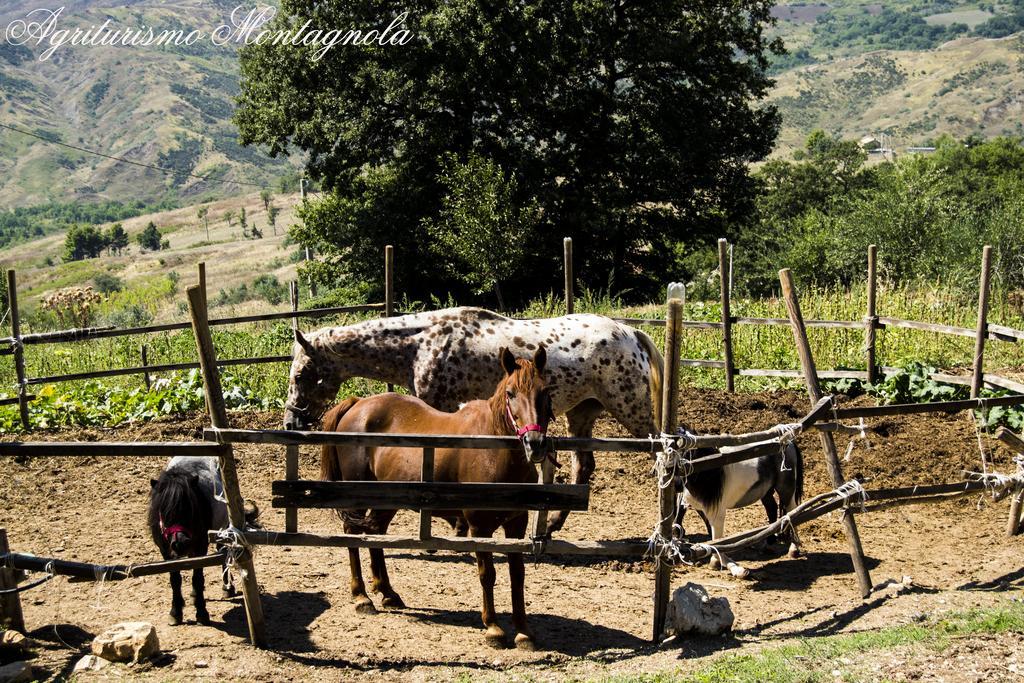 Вілла Agriturismo Montagnola Abruzzo Casalanguida Екстер'єр фото